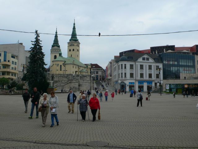 06 14 13 20 37P1210049