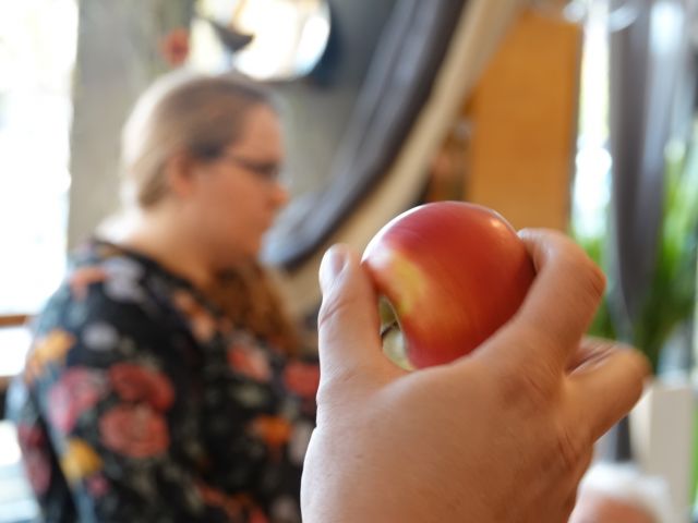 DSC09329